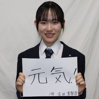 マルカタ南 ４/早稲田大学出版部/古代エジプト調査委員会（大型本） マルカタ南 4/早稲田大学出版部/古代エジプト調査委員会（大型本）