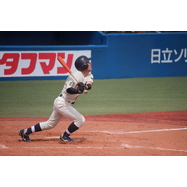 sample