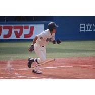 sample
