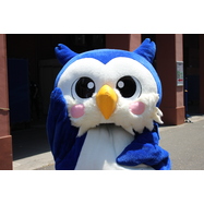 sample