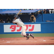 sample