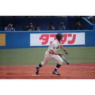 sample
