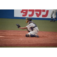 sample