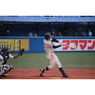 sample