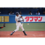 sample