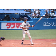 sample