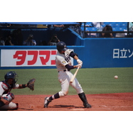 sample