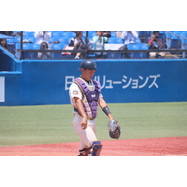 sample