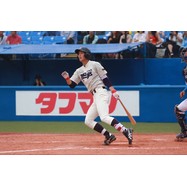 sample