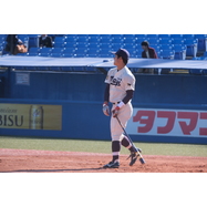 sample