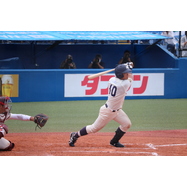sample