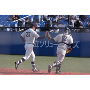 sample