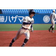 sample