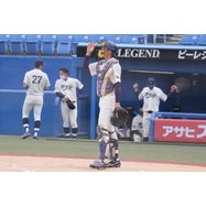 sample