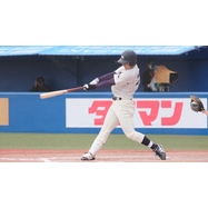 sample