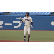 sample