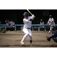 sample