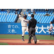 sample