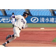 sample
