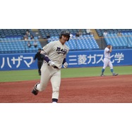 sample