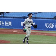 sample