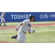 sample